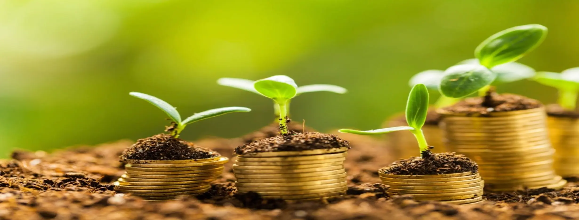 Image for LongTerm Prosperity